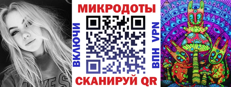 Галлюциногенные грибы Psilocybe  Качканар 